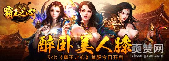 霸王之心,爽赞网,首服,开服