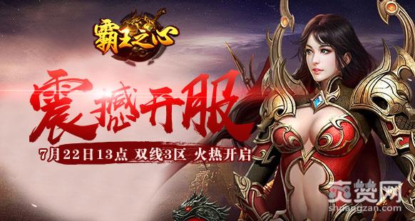 霸王之心,爽赞网,职业选择