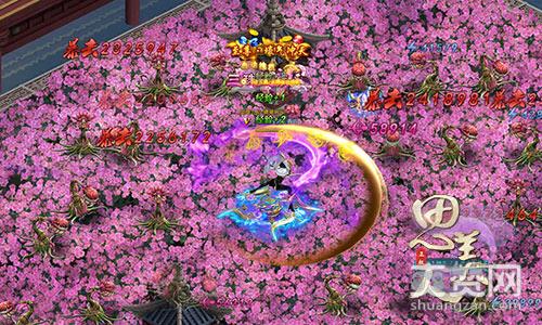 思美人,爽赞网,姻缘系统