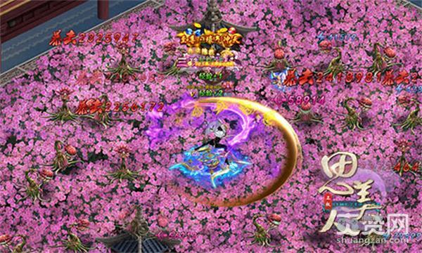 思美人,爽赞网,婚姻系统