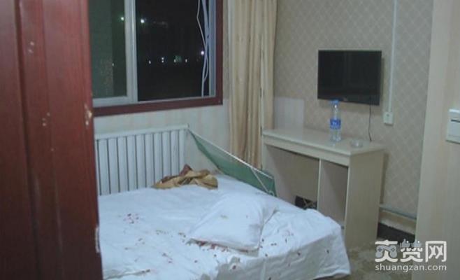 酒店枕头惊现刺猬,刺猬,酒店,爽赞网