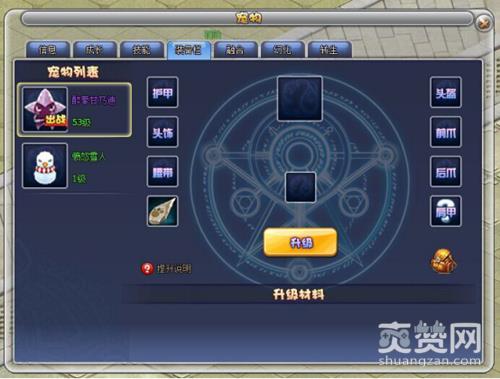 武装少女,爽赞网,宠物神助攻