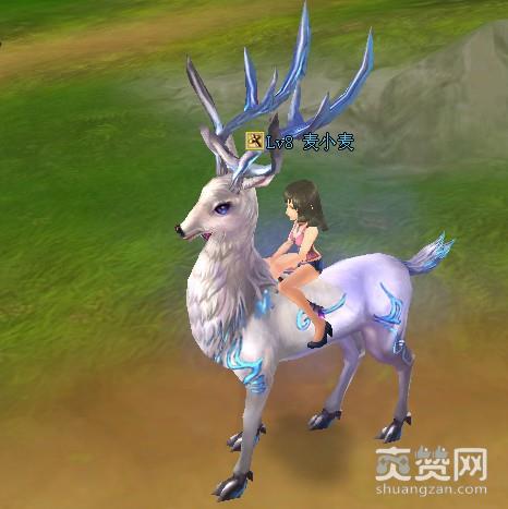 暗黑Q传,宠物,攻略,爽赞网