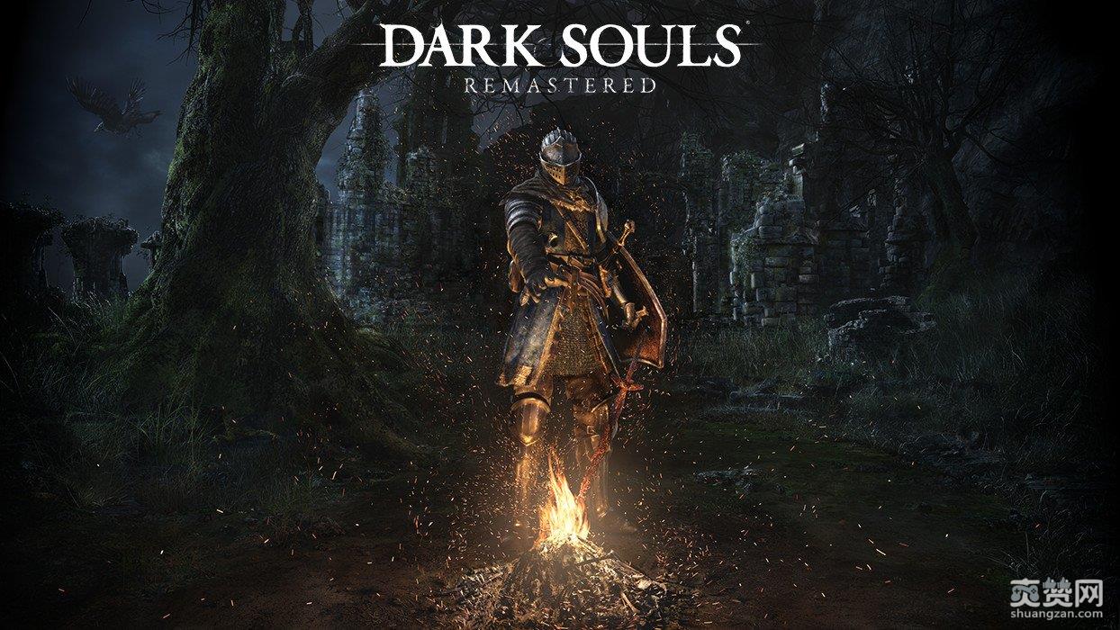 任天堂,Nintendo,直面会,爽赞网