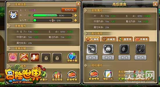 冒险世界OL,爽赞网,百变宠物