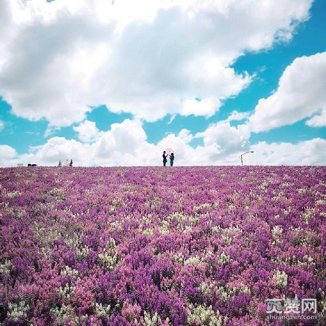 手机,三星,S7,摄影展,单眼,爽赞网