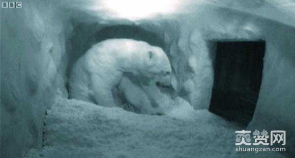 BBC,纪录片,爽赞网