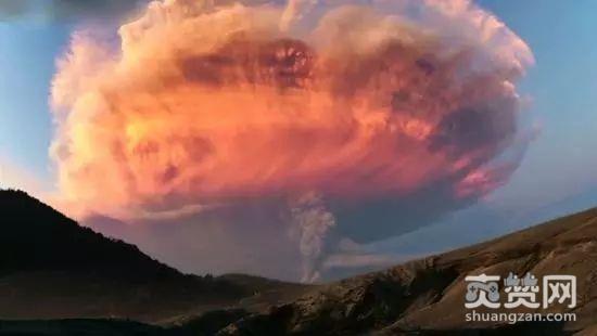 BBC,纪录片,爽赞网